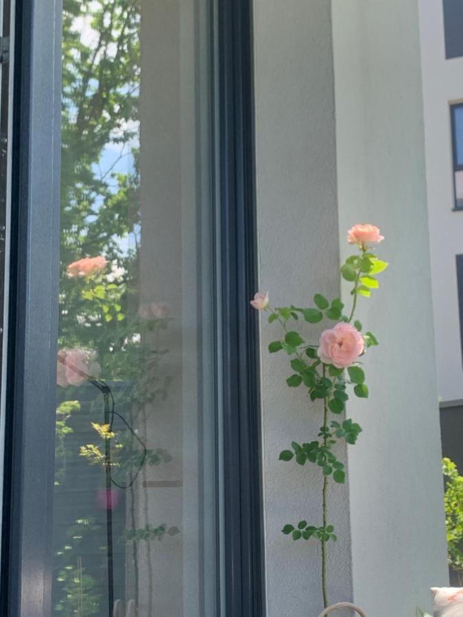 Garden Apartment Self Check-In - Bezkluczowy Dostep W 10 Minut O Kazdej Porze 克拉科夫 外观 照片